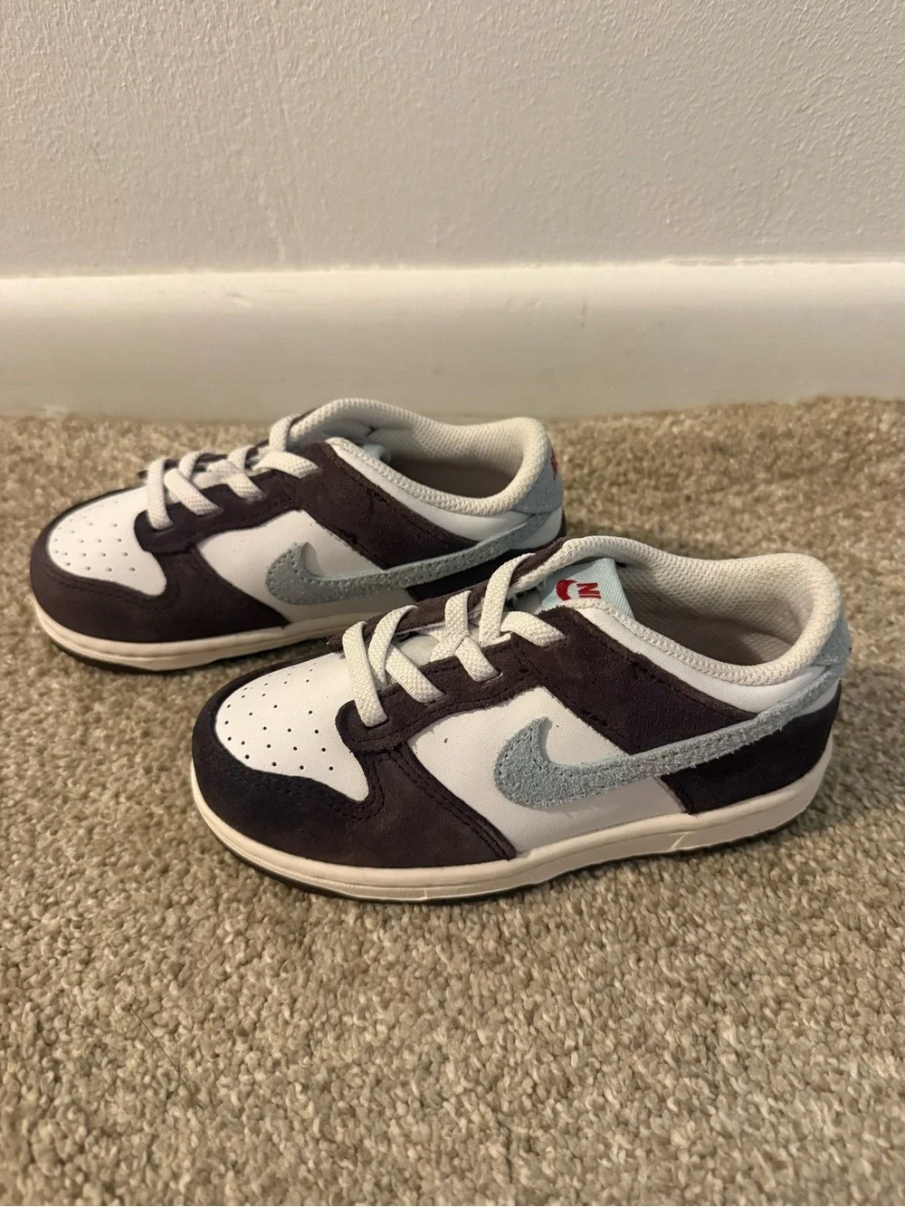 Kids Nike Dunk Lows